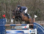 Channing Soothe Me TosTour 2013- S4 6943 : Arezzo Equestrian Centre, Channing Nik, Soothe me, Toscana Tour 2013, foto di Stefano Secchi ©